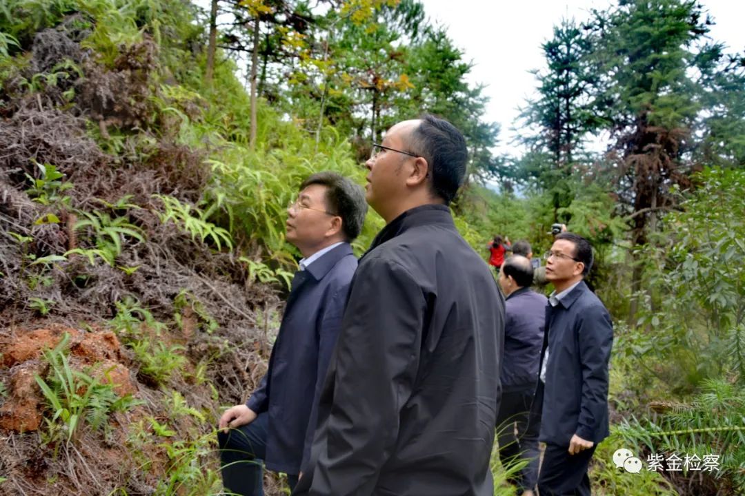 2022年-河长制-林长制-检察长-法院院长-2.jpg