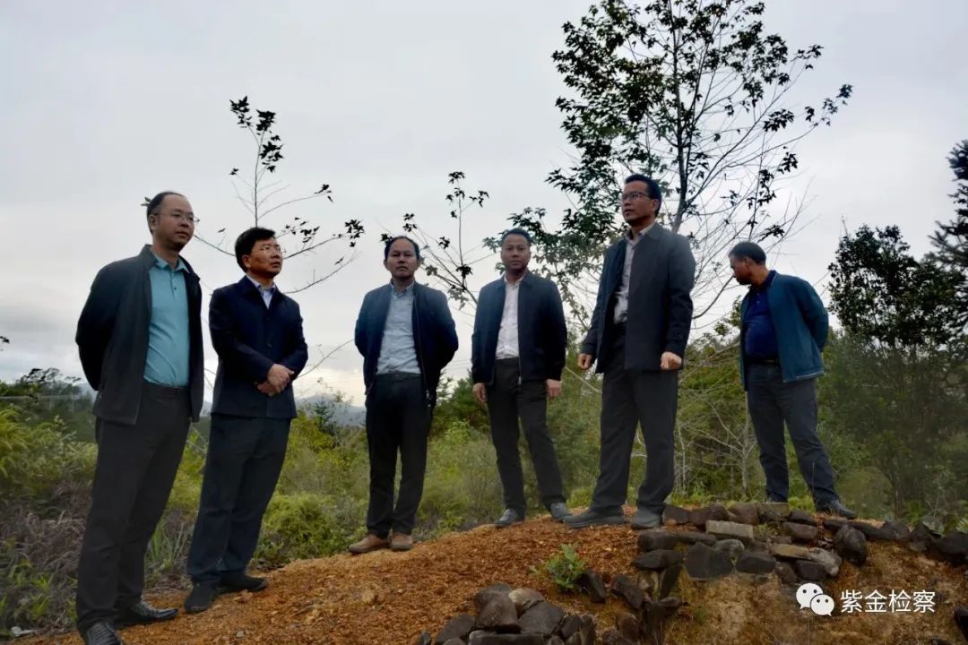 2022年-河长制-林长制-检察长-法院院长-3.jpg